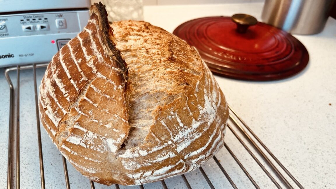 Sourdough loaf on a rack on a kitchen counter, in front of a Dutch oven lid and a square toaster oven.