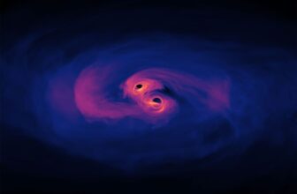 Artists conception of two black holes, both appearing as dark spots in the center of spirals of gas.