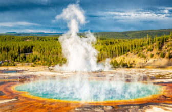 Image of two brightly colored hydrothermal pools set against a forested hillside.