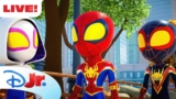 🔴 LIVE! NEW SPIDEY FULL EPISODES & SHORTS | Marvel’s Spidey and his Amazing Friends | @disneyjr