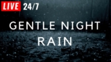 🔴 Gentle Night Rain to Sleep FAST + Black Screen – Rain Sounds for Sleeping