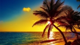 Stunning Stress-free Peaceable Music, Calm Music 24/7, “Tropical Shores” By Tim Janis