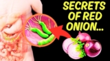 How Is Purple Onion Totally different From Others? Uncover The Hidden Secrets and techniques Of Purple Onions 🧅✨