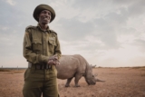 Journey Into the Coronary heart of Wildlife