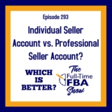 Podcast Episode 293 – Particular person Vendor Account VS Skilled Vendor Account