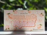 PLouise Feeling Peachy Palette Assessment