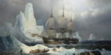 Franklin expedition captain who died in 1848 was cannibalized by survivors