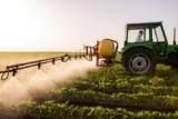 Can Pesticides Cause Cancer? – Organic Authority