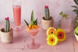 From Curious Cactus to Pink Prickly Pear Margarita Recipe
