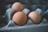 Can You Get Chook Flu From Eggs? What You Have to Know